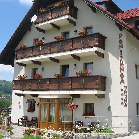 Pension Irina Hotel Арефу Екстериор снимка