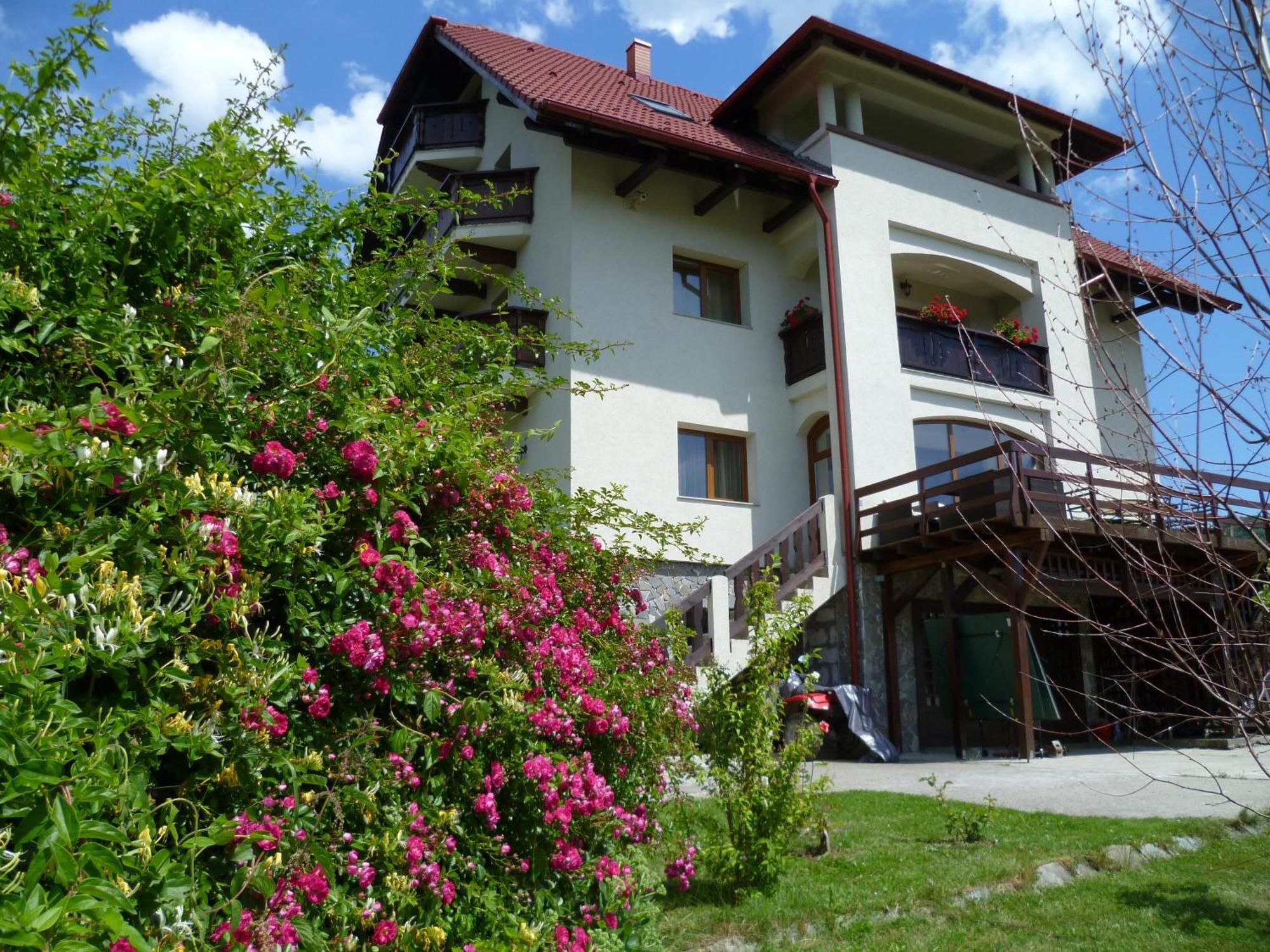 Pension Irina Hotel Арефу Екстериор снимка